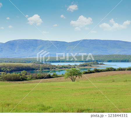 beautiful spring lake 123844331