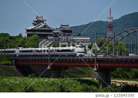 福知山城と鉄橋走る特急はしだて 123845595
