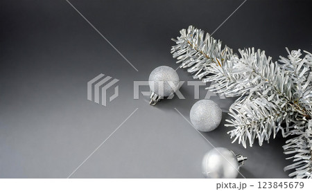 銀色の背景 123845679