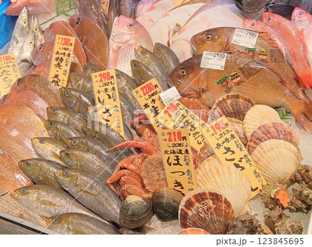 鮮魚店に並ぶ魚 鮮魚店に並ぶ魚 123845695