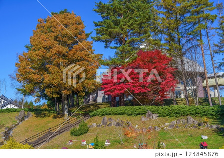 青空バックに見るカラフルな秋の公園の情景 青空バックに見るカラフルな秋の公園の情景 123845876