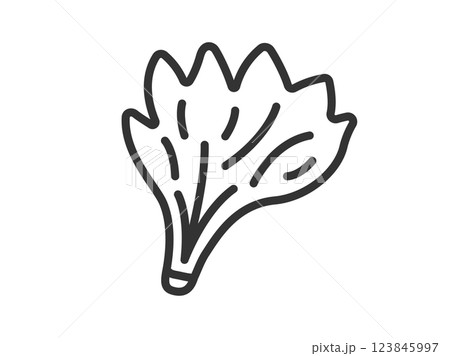 ほうれん草のアイコン(線画)のイラスト ほうれん草のアイコン(線画)のイラスト 123845997