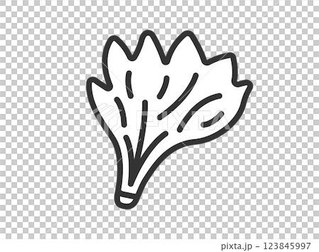 ほうれん草のアイコン(線画)のイラスト ほうれん草のアイコン(線画)のイラスト 123845997