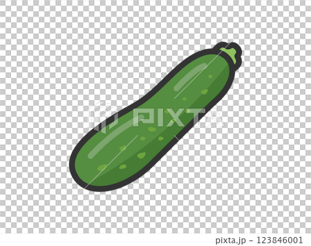 綠色西葫蘆圖標插圖（線條描彩色） 123846001