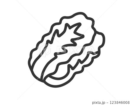 白菜のアイコン（線画）のイラスト 123846008