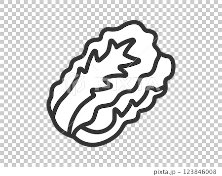 大白菜圖示插圖（線條描畫） 123846008