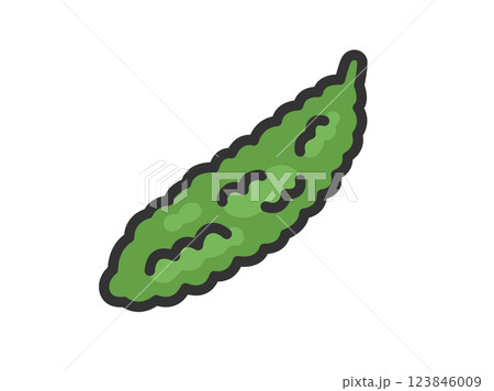 ゴーヤーのアイコン(線画カラー)のイラスト ゴーヤーのアイコン(線画カラー)のイラスト 123846009