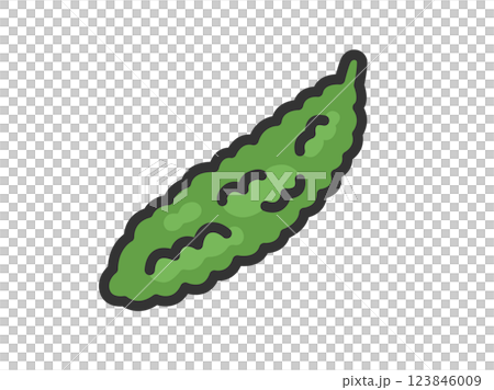 苦瓜圖示插圖（線條描彩色） 123846009