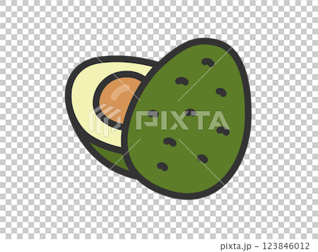 アボカドのアイコン（線画カラー）のイラスト 123846012