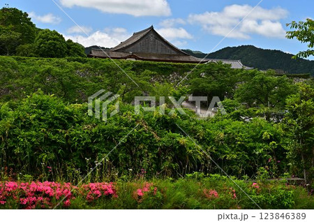 新緑の篠山城 123846389