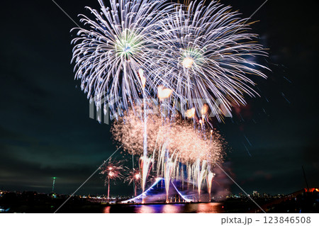 江戸川花火大会（市川市民納涼花火大会）　富士の大仕掛け 123846508