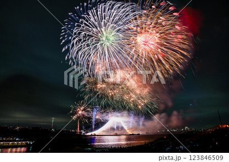 江戸川花火大会（市川市民納涼花火大会）　富士の大仕掛け 123846509