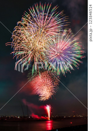 江戸川花火大会（市川市民納涼花火大会） 123846514