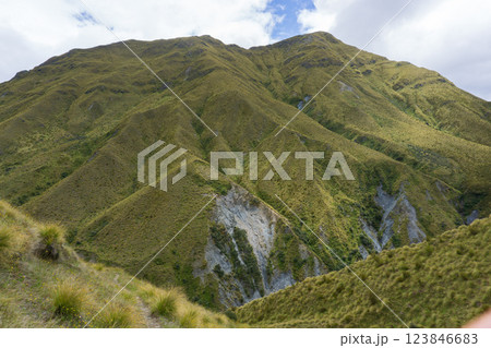 ニュージーランドの山(テアラロア) ニュージーランドの山(テアラロア) 123846683