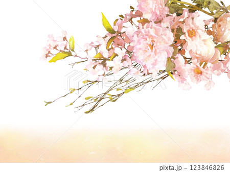 ピンクの春の花のフレームイラスト（桜、芍薬、和紙） 123846826