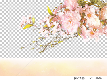 粉紅春花框圖(櫻花、牡丹、日本紙) 粉紅春花框圖(櫻花、牡丹、日本紙) 123846826