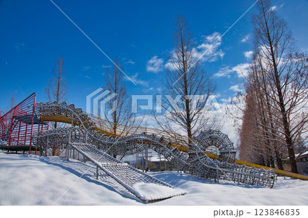 雪景色の遊び場、下馬中央公園 雪景色の遊び場、下馬中央公園 123846835