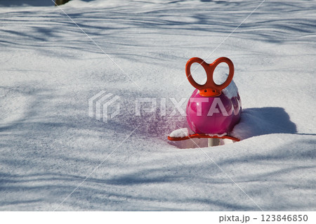 雪景色の遊び場、下馬中央公園 雪景色の遊び場、下馬中央公園 123846850
