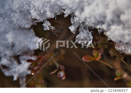 雪景色の遊び場、下馬中央公園 雪景色の遊び場、下馬中央公園 123846857