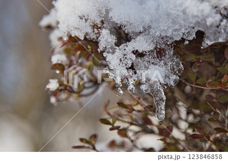 雪景色の遊び場、下馬中央公園 雪景色の遊び場、下馬中央公園 123846858