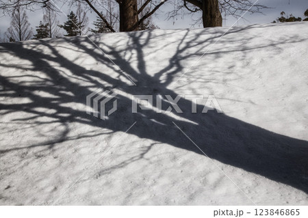 雪景色の遊び場、下馬中央公園 雪景色の遊び場、下馬中央公園 123846865