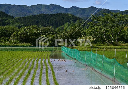 丹波篠山の景色 123846866