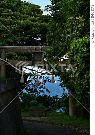 鳥居のある風景 鳥居のある風景 123846875