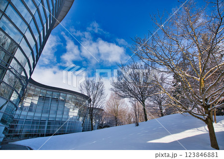 雪景色の遊び場、下馬中央公園 雪景色の遊び場、下馬中央公園 123846881