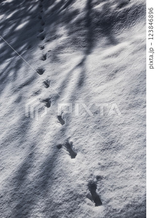雪景色の遊び場、下馬中央公園 123846896