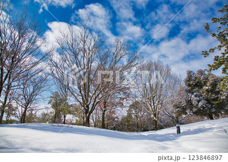 雪景色の遊び場、下馬中央公園 雪景色の遊び場、下馬中央公園 123846897