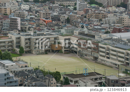 住宅街にある緑化された学校 住宅街にある緑化された学校 123846913