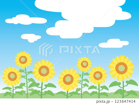 空を見上げるひまわりの背景イラスト 123847414