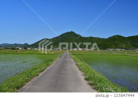 丹波篠山の景色 123847444