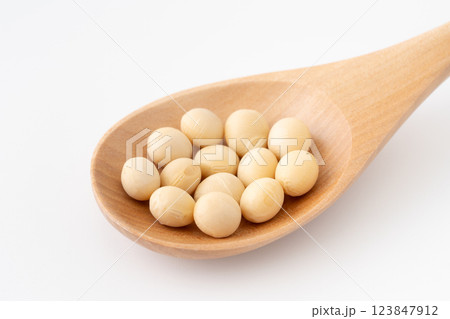 木のスプーンに載せた大豆(乾燥) 木のスプーンに載せた大豆(乾燥) 123847912