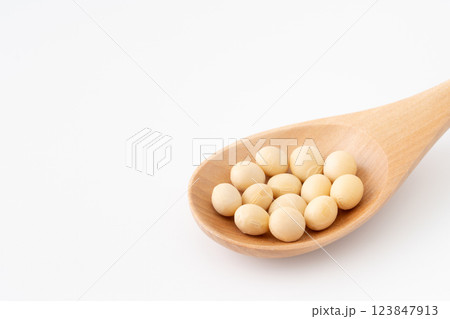 木のスプーンに載せた大豆（乾燥） 123847913