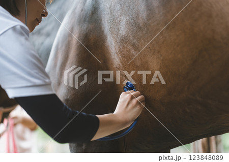 involved with horses 123848089