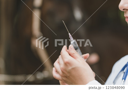 involved with horses involved with horses 123848090