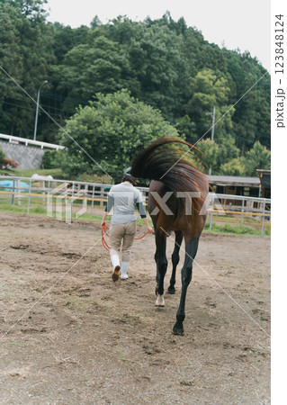 involved with horses involved with horses 123848124