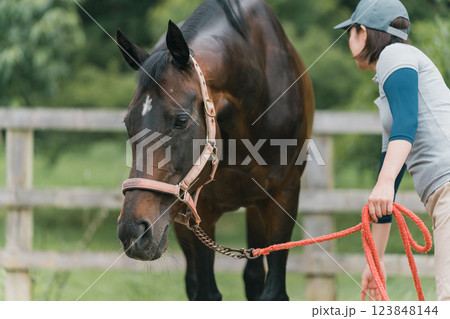 involved with horses involved with horses 123848144