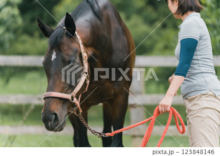 involved with horses 123848146