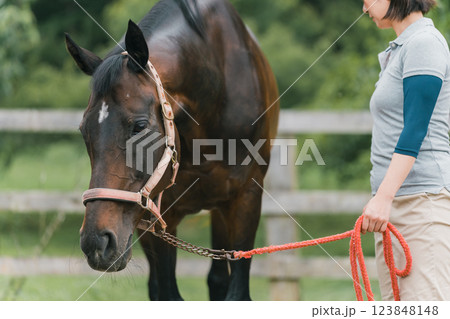 involved with horses 123848148
