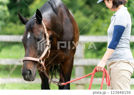 involved with horses 123848150