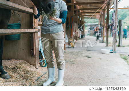 involved with horses 123848169