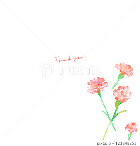 水彩画。水彩タッチの母の日カーネーションイラスト。母の日のカーネーション背景ベクターイラスト。 水彩画。水彩タッチの母の日カーネーションイラスト。母の日のカーネーション背景ベクターイラスト。 123848253