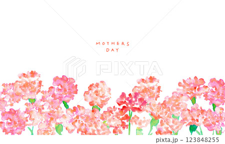 水彩画。水彩タッチの母の日カーネーションイラスト。母の日のカーネーション背景ベクターイラスト。 123848255