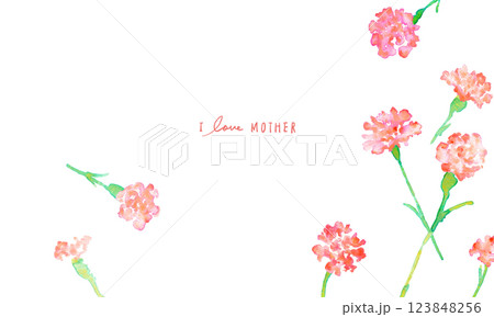 水彩画。水彩タッチの母の日カーネーションイラスト。母の日のカーネーション背景ベクターイラスト。 123848256