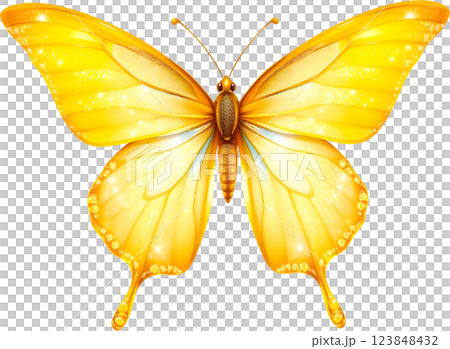 きらめく黄色い蝶 123848432