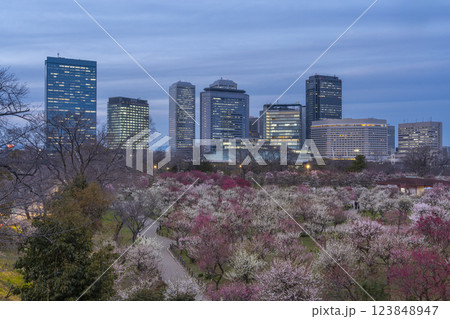薄暮空の大阪城梅林　満開の梅と大阪ビジネスパーク 123848947