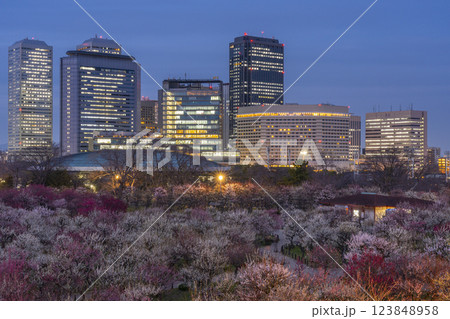 夜の大阪城梅林　満開の梅と大阪ビジネスパーク 123848958