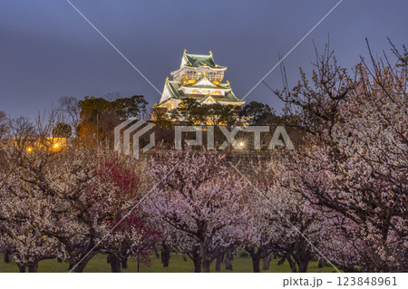 夜の大阪城梅林 満開の梅と大阪城天守閣 夜の大阪城梅林 満開の梅と大阪城天守閣 123848961